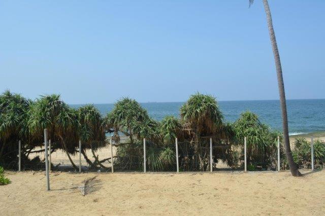 The Beach Front Apartment - Colombo, Uswetakeiyawa, Colombo 瓦特勒 外观 照片